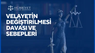 Velayetin Değiştirilmesi